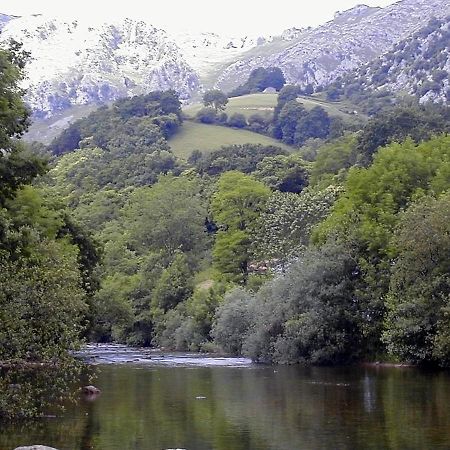 Apto Rio Ason, Desconexion Total Con Piscina Y Vistas Espectaculares Gibaja Екстериор снимка